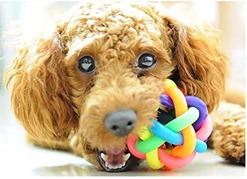 image:image12 PCS Rainbow Bouncy Fidget Orbit Balls Stress Relief Rubber Sensory Fiddle Squeeze Atom Toys Ideal for Kids and Adults Party Favors