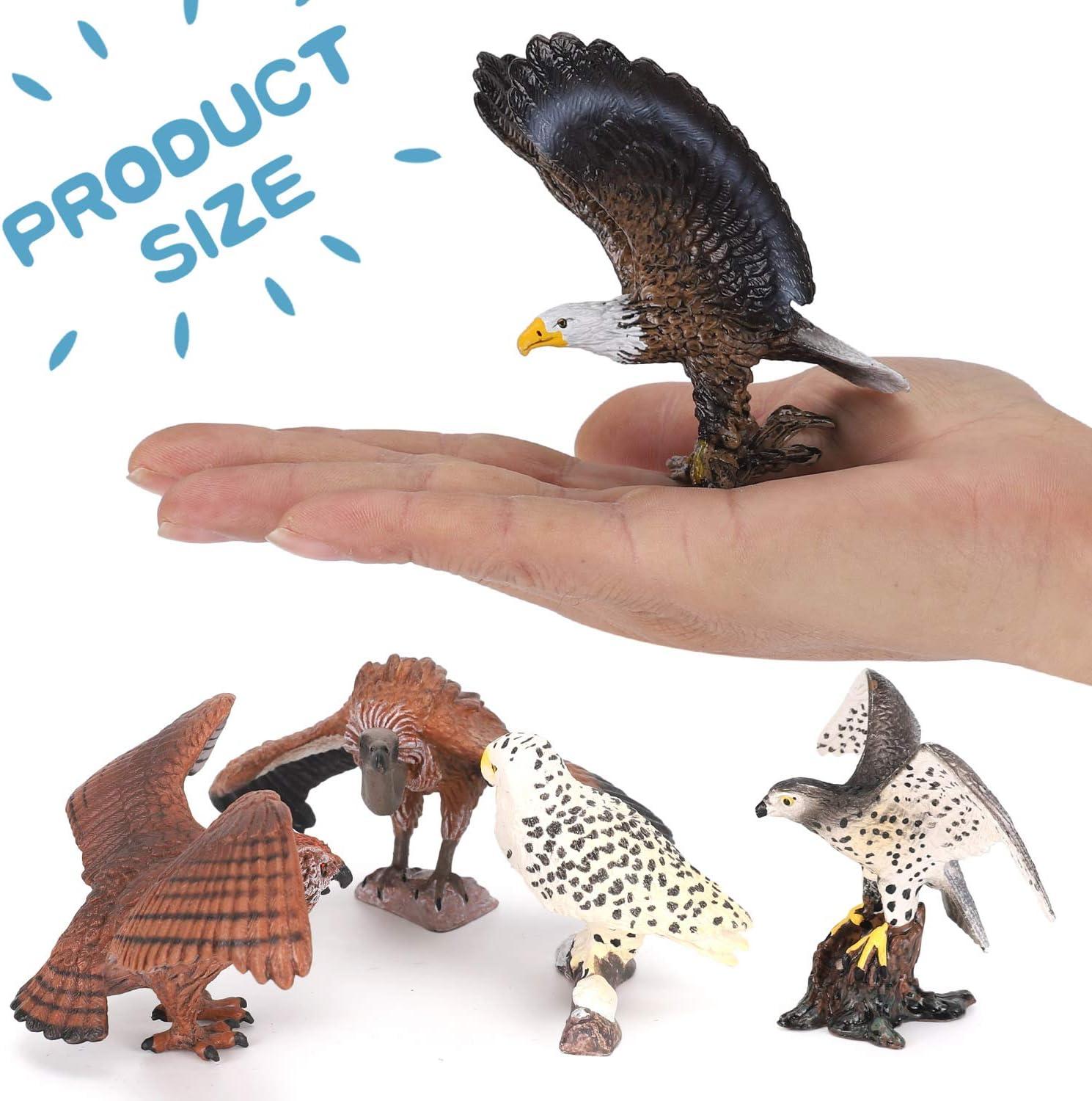 image:image5 PCS Birds of Prey Figurines Plastic Realistic Animal Replica Models Toy Figures Educational Set for Kids amp Adults Collection Birds of PreyBirds of Prey