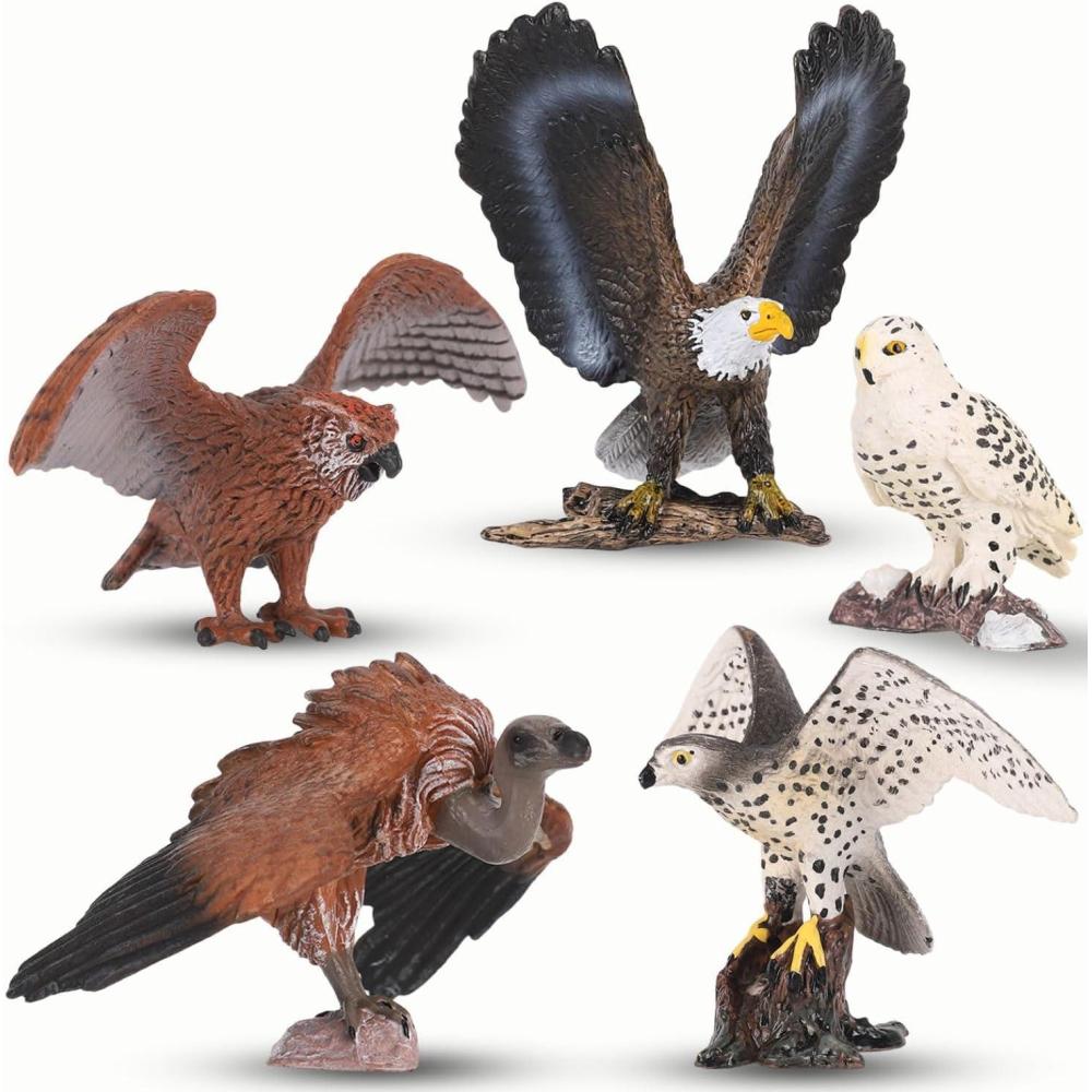 image:image5 PCS Birds of Prey Figurines Plastic Realistic Animal Replica Models Toy Figures Educational Set for Kids amp Adults Collection Birds of PreyBirds of Prey