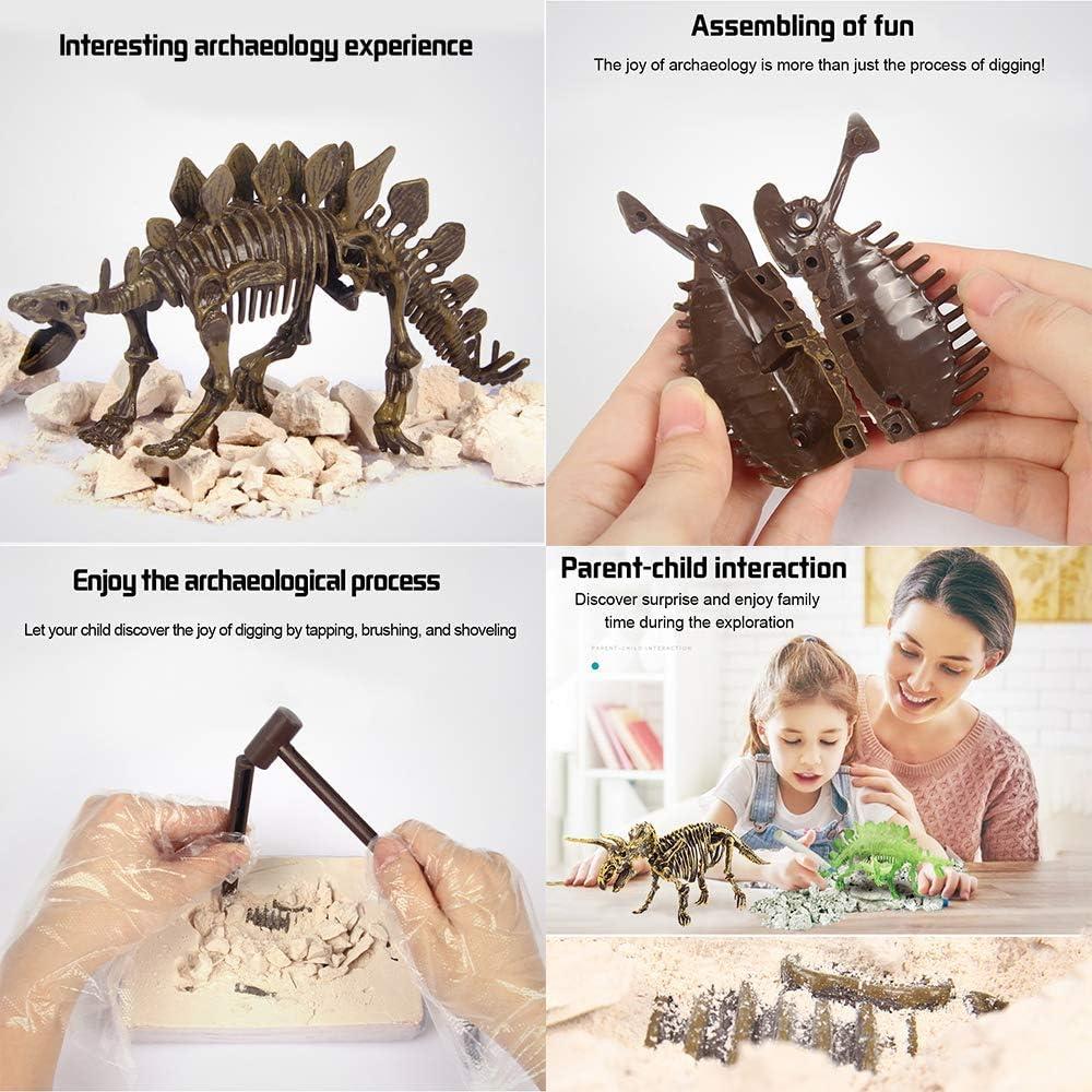 image:imageDig amp Discover Dino Triceratops Dinosaur Skeleton 3D Fossil Bones Excavation Science Educational Toy Kit for Kids ChildrenStegosaurus