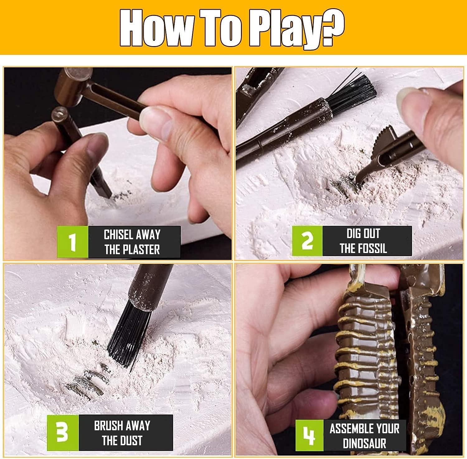 image:imageDig amp Discover Dino Triceratops Dinosaur Skeleton 3D Fossil Bones Excavation Science Educational Toy Kit for Kids ChildrenStegosaurus