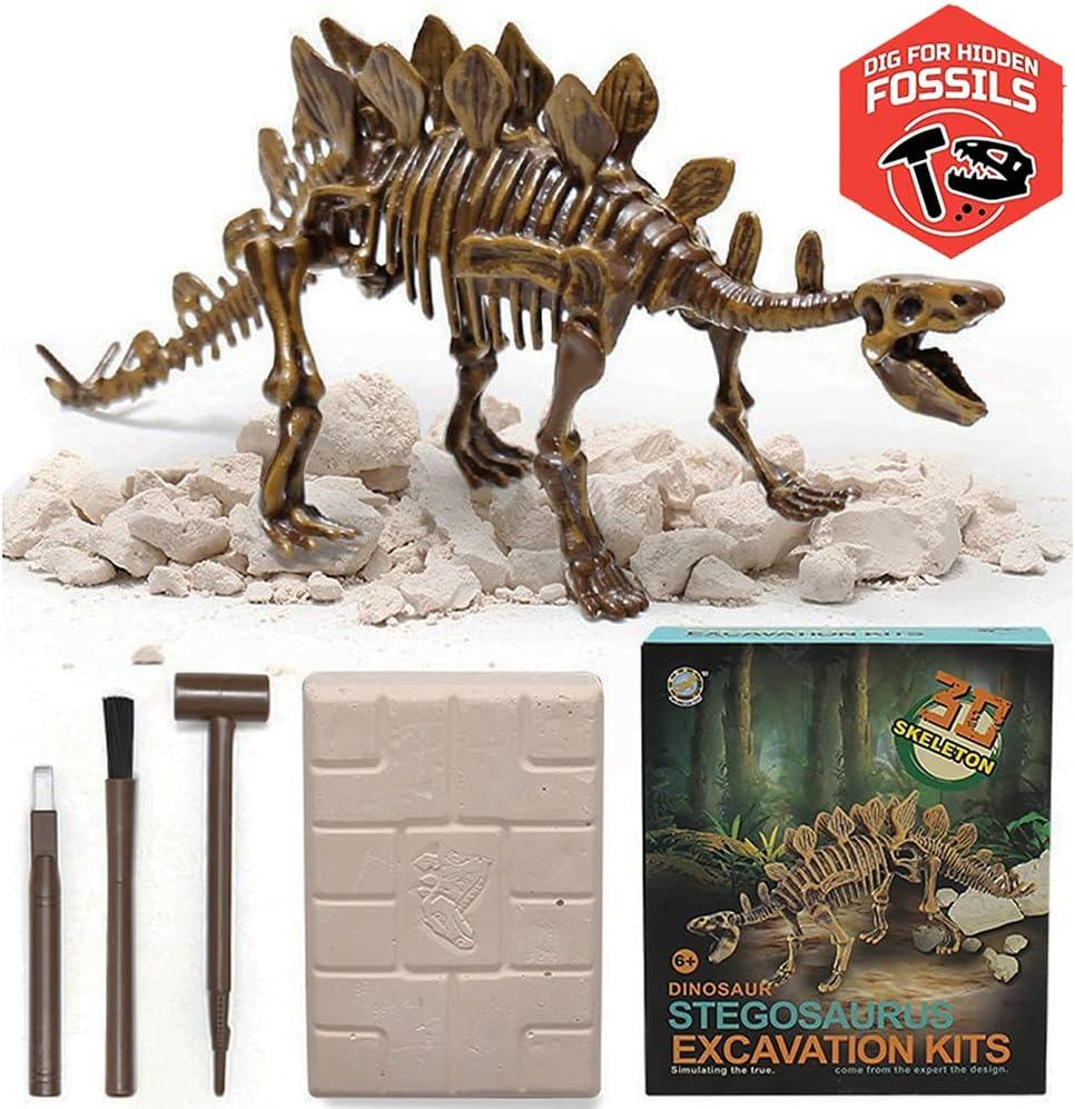 image:imageDig amp Discover Dino Triceratops Dinosaur Skeleton 3D Fossil Bones Excavation Science Educational Toy Kit for Kids ChildrenStegosaurus