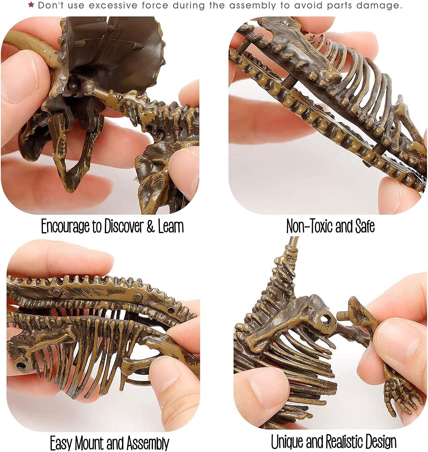 image:imageDig amp Discover Dino Triceratops Dinosaur Skeleton 3D Fossil Bones Excavation Science Educational Toy Kit for Kids ChildrenTriceratops