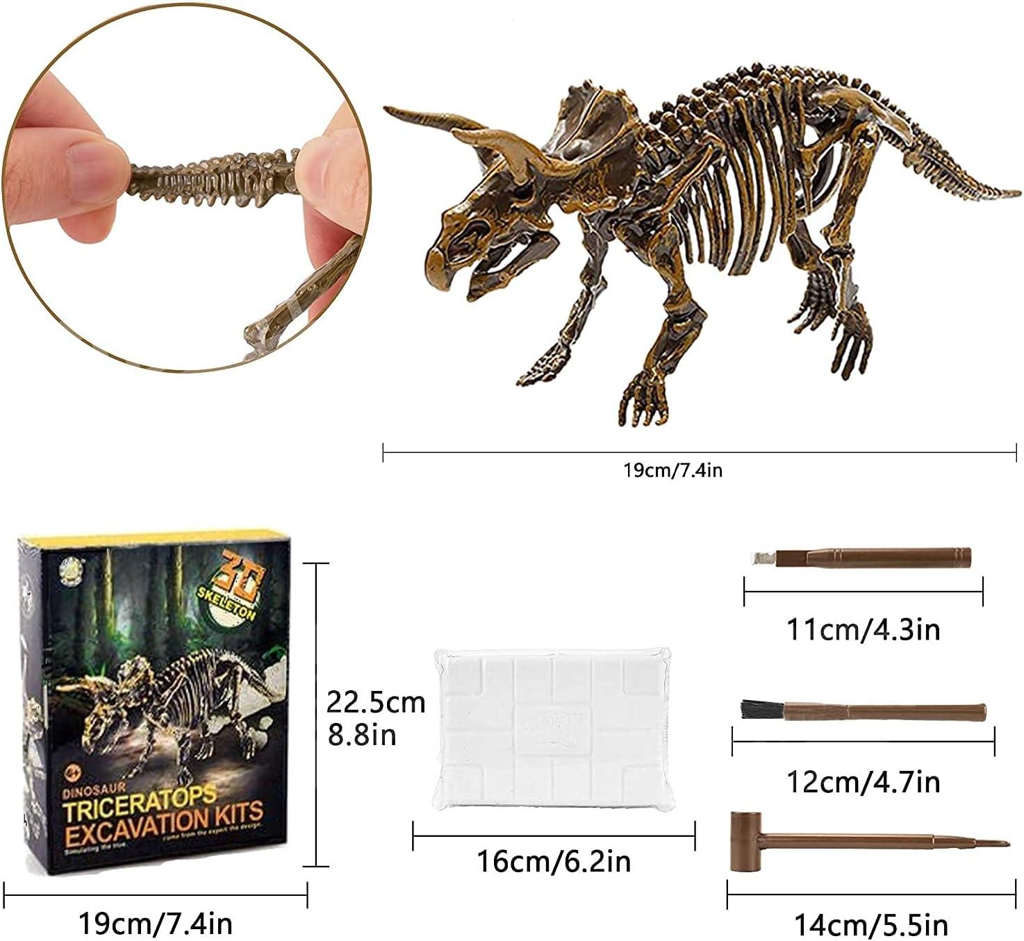 image:imageDig amp Discover Dino Triceratops Dinosaur Skeleton 3D Fossil Bones Excavation Science Educational Toy Kit for Kids ChildrenTriceratops