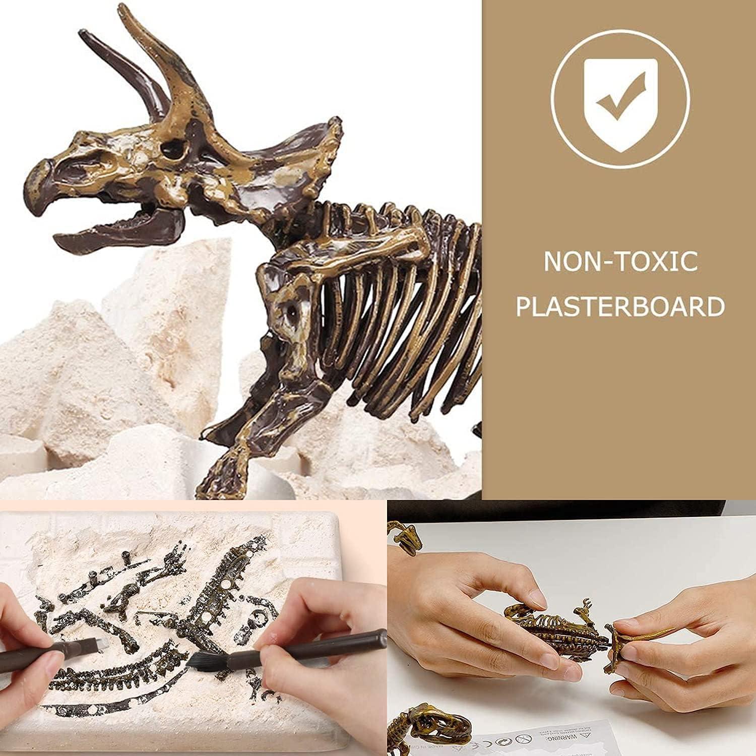 image:imageDig amp Discover Dino Triceratops Dinosaur Skeleton 3D Fossil Bones Excavation Science Educational Toy Kit for Kids ChildrenTriceratops