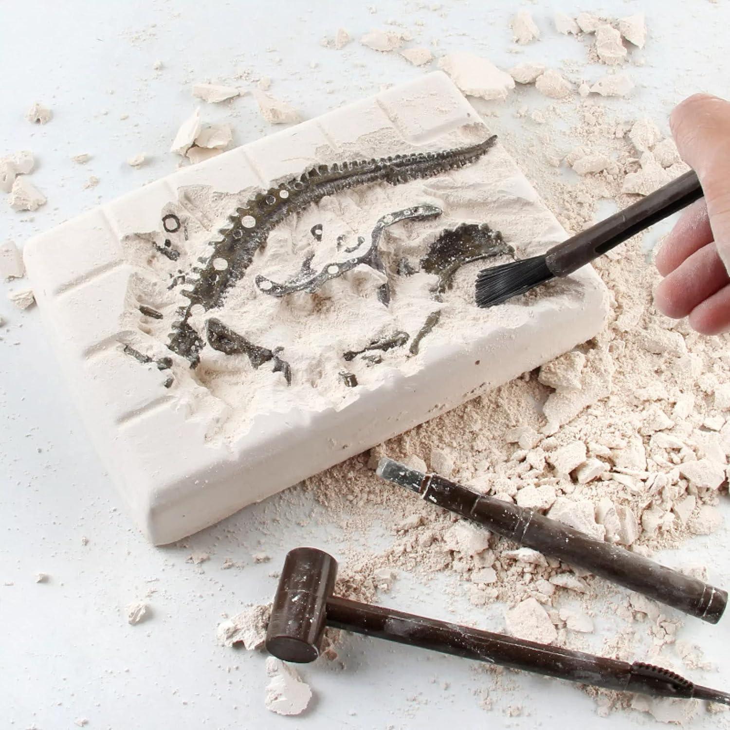 image:imageDig amp Discover Dino Triceratops Dinosaur Skeleton 3D Fossil Bones Excavation Science Educational Toy Kit for Kids ChildrenTriceratops