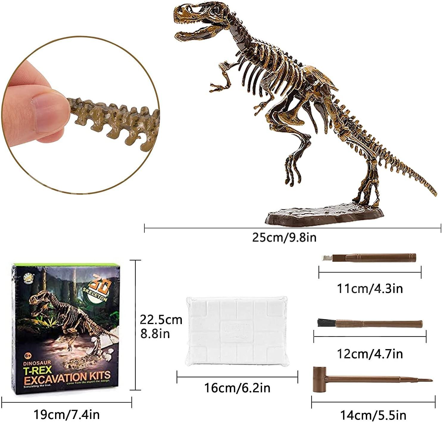 image:imageDig amp Discover Dino Triceratops Dinosaur Skeleton 3D Fossil Bones Excavation Science Educational Toy Kit for Kids ChildrenTyrannosaurus Rex
