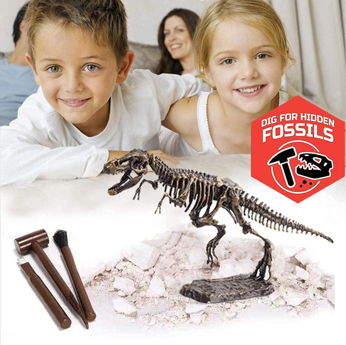image:imageDig amp Discover Dino Triceratops Dinosaur Skeleton 3D Fossil Bones Excavation Science Educational Toy Kit for Kids ChildrenTyrannosaurus Rex