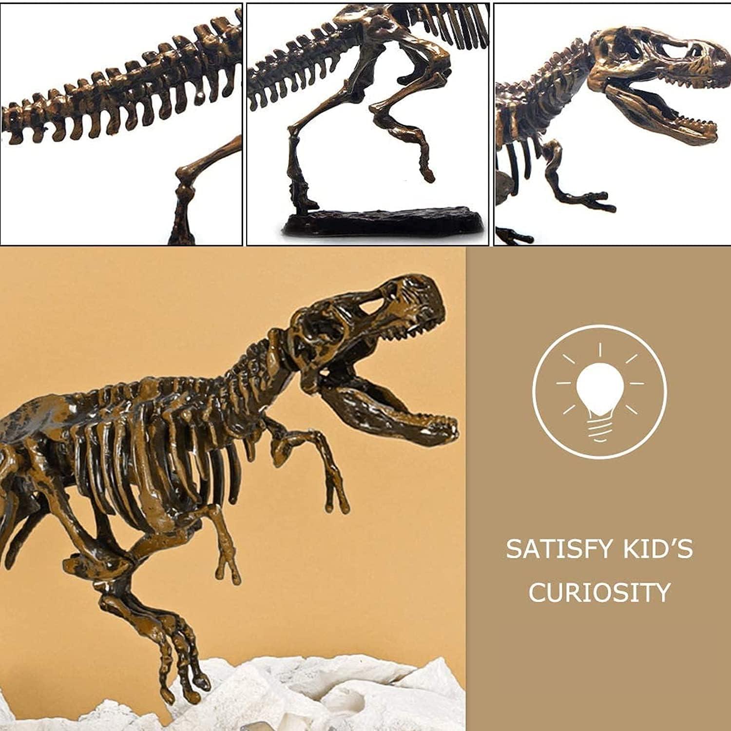 image:imageDig amp Discover Dino Triceratops Dinosaur Skeleton 3D Fossil Bones Excavation Science Educational Toy Kit for Kids ChildrenTyrannosaurus Rex