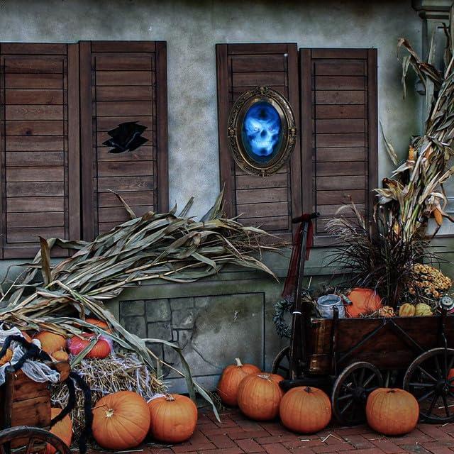image:imageLiberty Imports Scary Motion Activated Skull Haunted Mirror with Creepy Sound and Light Horror Prop for Indoor Halloween Party Decorations