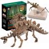 Stegosaurus