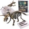 Triceratops